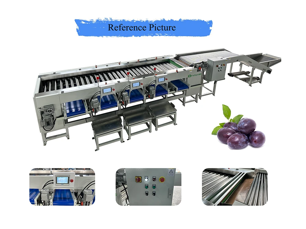 plum roller sorting plum roller sorting